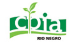 cpia_rio_negro